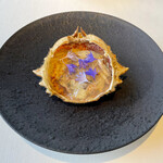 レストラン オオツ - 