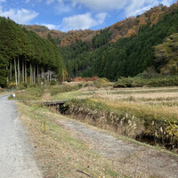ろあん松田 篠山店 - 晩冬の山道。食べ物を探しに降りて来た猪や鹿に出会えることもあるそう。
