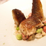 キメラ - あっぷ