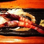 海味 はちきょう - ブドウエビ刺し