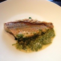 やまなみ - まとう鯛のバターソース（生海苔入り）