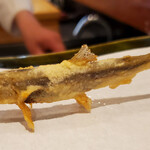 旬彩天 つちや - 岩手県産稚鮎