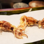 旬彩天 つちや - 富山県産ホタルイカ