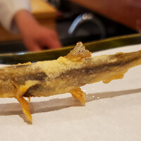 旬彩天 つちや - 岩手県産稚鮎