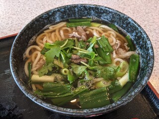 Kasumi Tei - 肉うどん