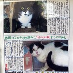 中華そば志のぶ支店 - 店舗付近の掲示板