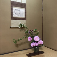 山の茶屋 - 
