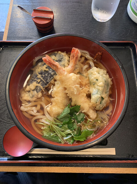 Teuchi Udon Ieyasu Asakusa Ten photo 3