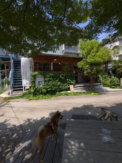 読売ランド前では貴重な犬連れランチできるカフェ By Marsa0210 カフェ ド シュロ 読売ランド前 カフェ 食べログ 読売ランド前では貴重な犬連れランチできるカフェ By Marsa0210 カフェ ド シュロ 読売ランド前 カフェ 食べログ