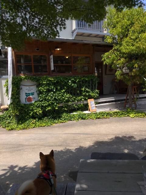 読売ランド前では貴重な犬連れランチできるカフェ By Marsa0210 カフェ ド シュロ 読売ランド前 カフェ 食べログ 読売ランド前では貴重な犬連れランチできるカフェ By Marsa0210 カフェ ド シュロ 読売ランド前 カフェ 食べログ