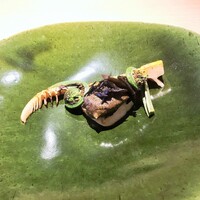 RISTORANTE IL NODO - 香り、磯×土