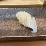 すし匠 - アオリイカ