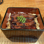 Ikiunagi Shami - 