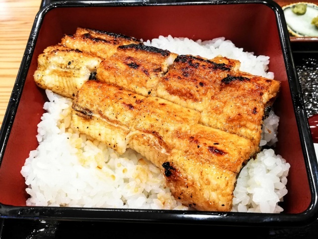 うな富 高槻店 高槻 うなぎ 食べログ うな富 高槻店 高槻 うなぎ 食べログ