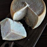 シンポジウム - 