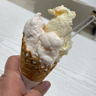 ジェラートアイス ダンディライアン_0