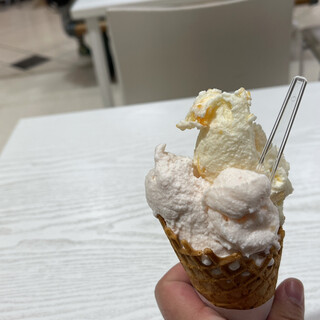 ジェラートアイス ダンディライアン_1