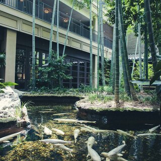 Open terrace seats full of water and greenery