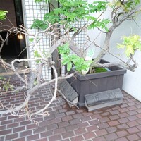 近松 - 