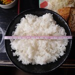 Za Teishoku Ando Dorinku Su Tousato - 鳥の唐揚・手作りメンチ定食　1000円　お茶碗の直径15cm