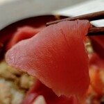 マグロ卸のマグロ丼の店 - 