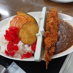 設楽ヤナ組合／第２八雲苑  - 料理写真:ダムカレー(1,100円)(ででんと鮎のフライ)