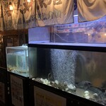h Tsugaru Kaikyou Sengyoten - 店頭水槽には、旬の魚介！