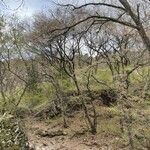 蕎麦茶寮 nanakusa - 