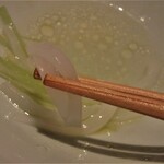 センティウ - アオリイカ