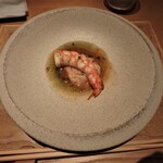 センティウ - アカアシエビ