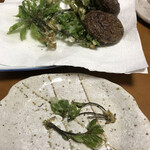 食の駅ぐんま - 料理写真:またまた揚げちゃいましたもう打ち止めです、さすがにー今年は何度コシアブラ食べれたのでしょう〜笑