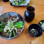 そば処 平石亭 - 春のぶっかけそば¥1000
            写真の他にサービスで蕗味噌を頂きました
            汁は つけ汁としてもぶっかけの汁としても