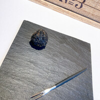 Terres de Truffes, Tokyo - 