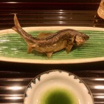 和ごころ 泉 - 焼物：琵琶湖の鮎の塩焼き 蓼酢で