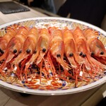 島津 - ボタン海老