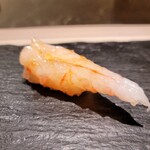 島津 - ボタン海老