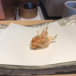 にい留 - 車海老足×2
      →これを食べると…「にい留」さんに帰ってきた！と実感させられる一品(^^)