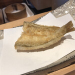 にい留 - 富津 鱚
      →大将曰く今年はなかなか上がらないという鱚！この日は富津から良い鱚が(^^)ふわっサクの極みです♪