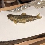 にい留 - そして初体験の稚鮎の天風良い感じは…苦味が押し寄せるスピード感！そしてそれが瞬く間に甘みへ変化して…うまぁ。。。こんな稚鮎のお料理に出会ったことがありません！