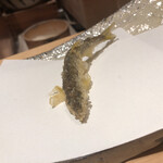 にい留 - そして2本目は天汁で！という大将のプレゼン通りに…苦味のスピード感や甘みへの変化も同じだが、今度は甘みの広がりが違う！旨い♫