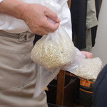 そば工房 玉江 - そばの実