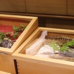 Kyou To Sashimi Maru - 