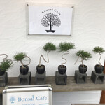 ボンサイ カフェ - 