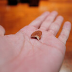 コントワール フー - 