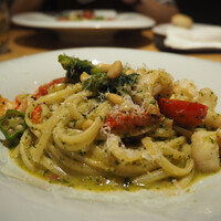 MOTORA  - 