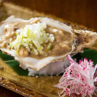 各地の新鮮牡蠣もあり。生はもちろんフライ、天ぷら、なめろうも
