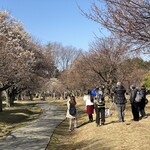 Muku An - 大宮第二公園　梅林