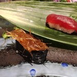 あさひ鮨 - フカヒレ寿司