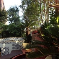 Terrace Dining TANGO - 
