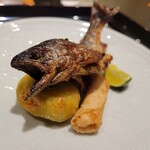 日本料理 晴山 - アマゴ揚げ ばちこの春巻 空豆コロッケ